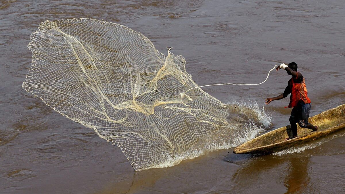 Fishing for plastic in the
