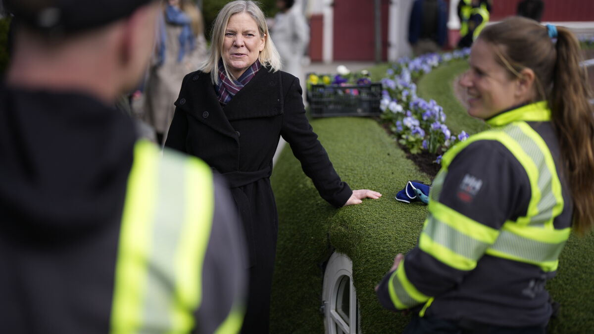 Andersson says the government's proposed