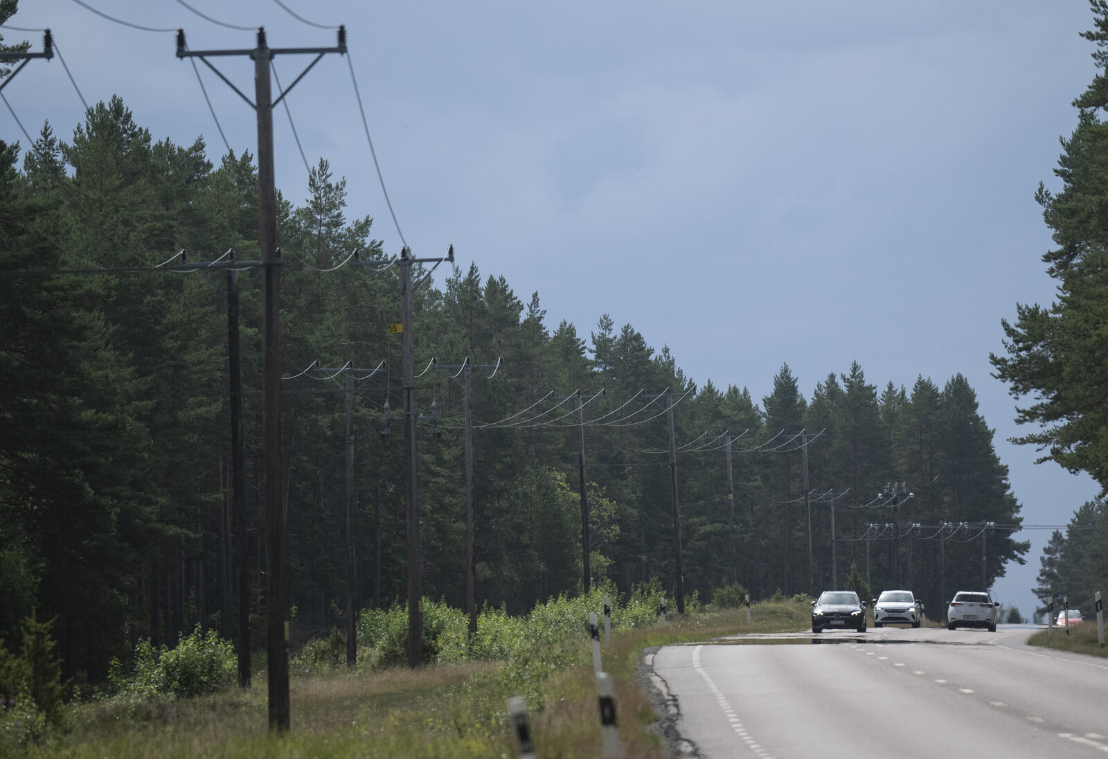 Risk of Higher Electricity Prices - Business Community Says No