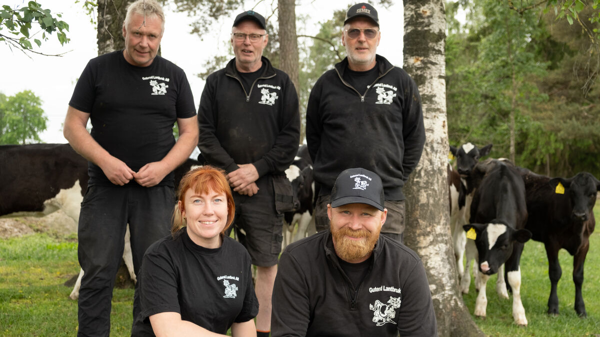 Here are the new participants in Swedish Farmers