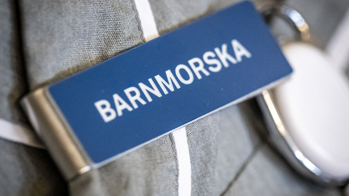 Swedish midwives warn of severe summer staffing shortages, survey finds
