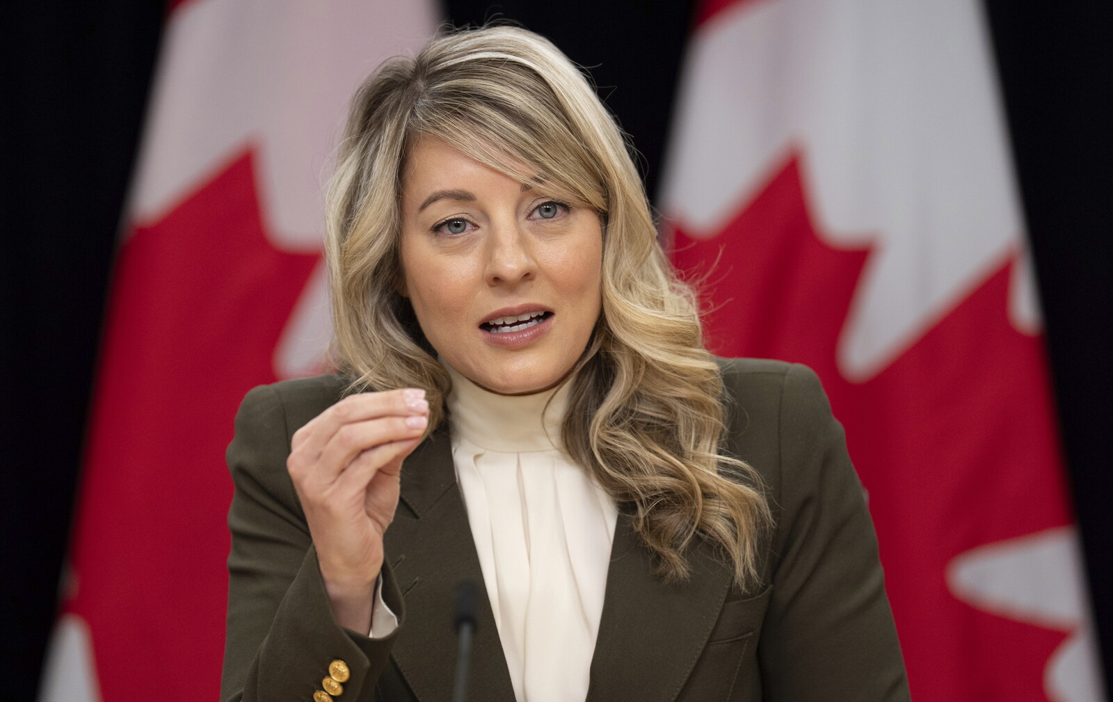 China Executes Four Canadians for Drug Offenses, Canada Condemns