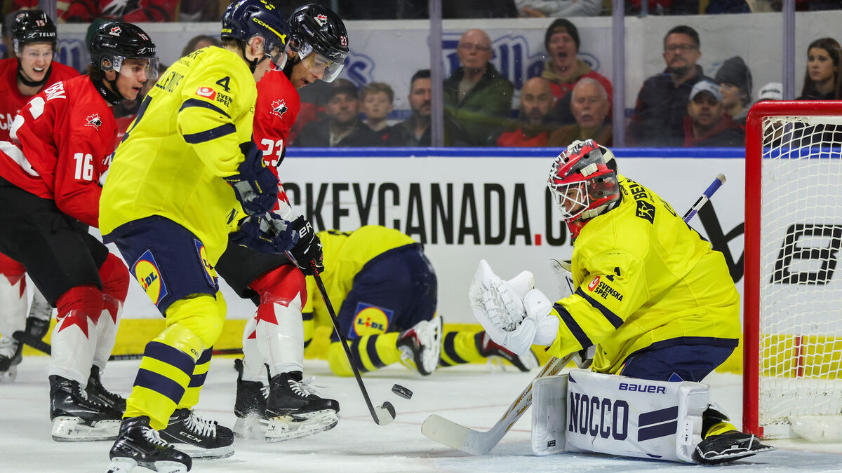 Sweden changes goalkeeper - the