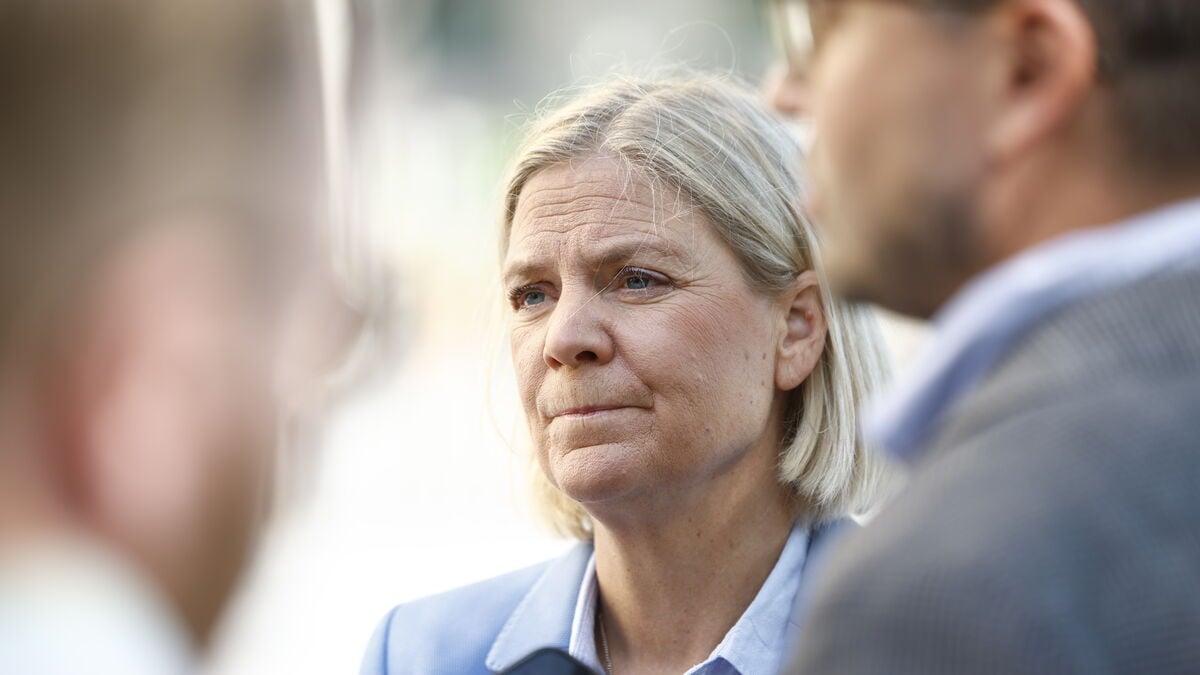 Andersson says Left Party has