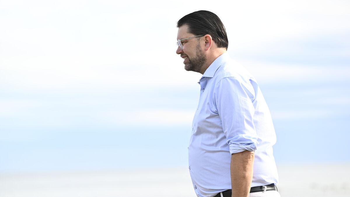 Left Party reports Jimmie Åkesson to Swedish Economic Crime Agency, says matter could be criminal