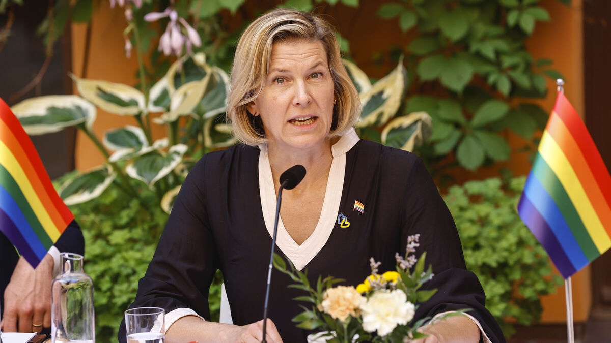 Sweden to investigate rising hostility