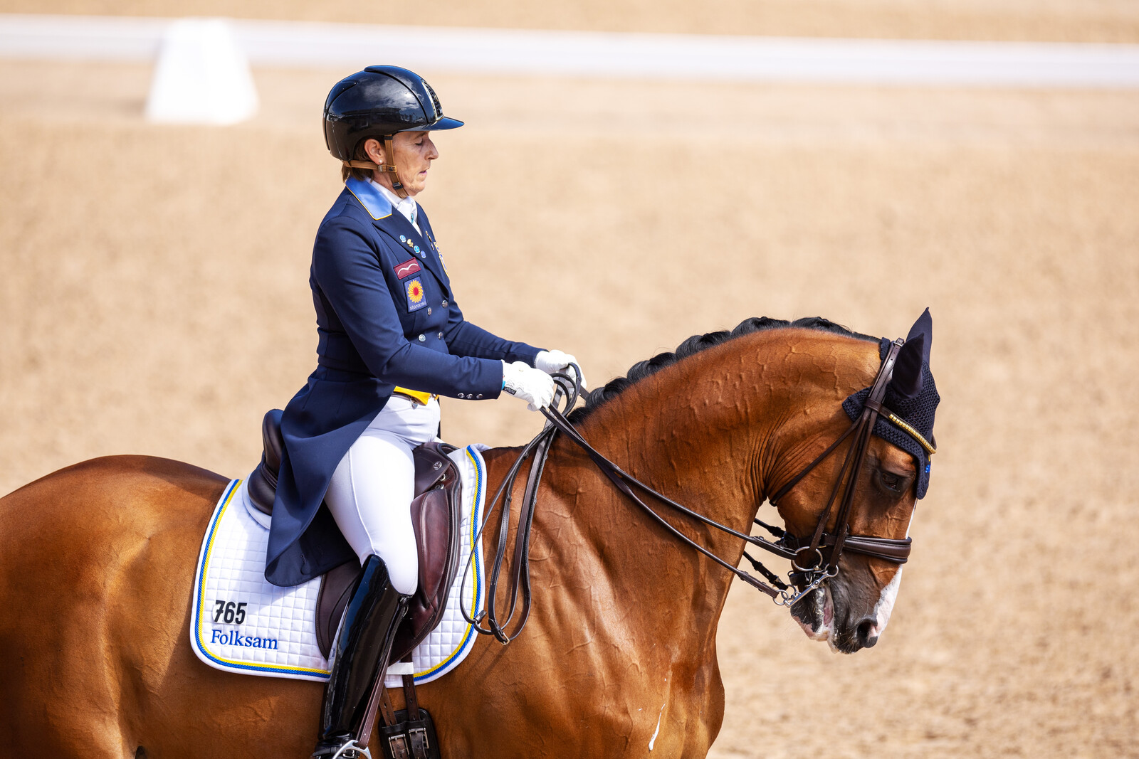 Swedish Dressage Team Announced for European Championship