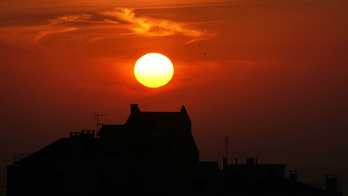 Heat wave leaves 12,000 excess deaths across nine European countries