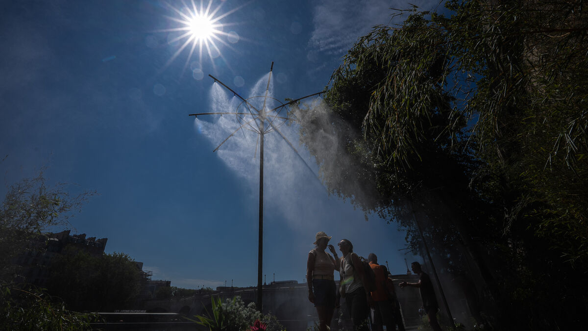 France records more than 7,300 excess deaths during summer heatwaves