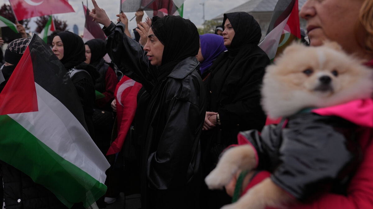Swedish activist detained in Global