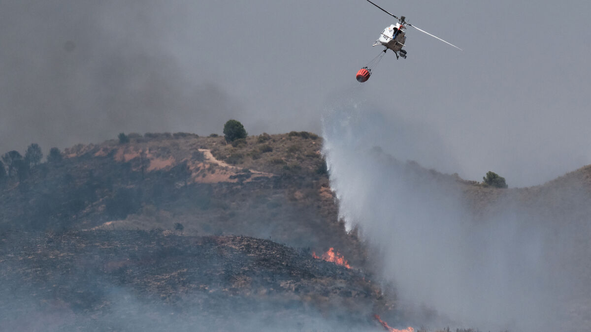 TV4 regrets airing episode after participant’s death in Spain wildfire
