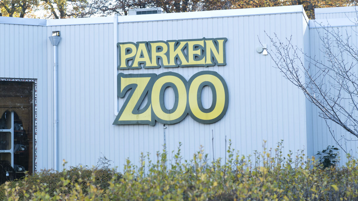 Carousel stopped at Parken Zoo