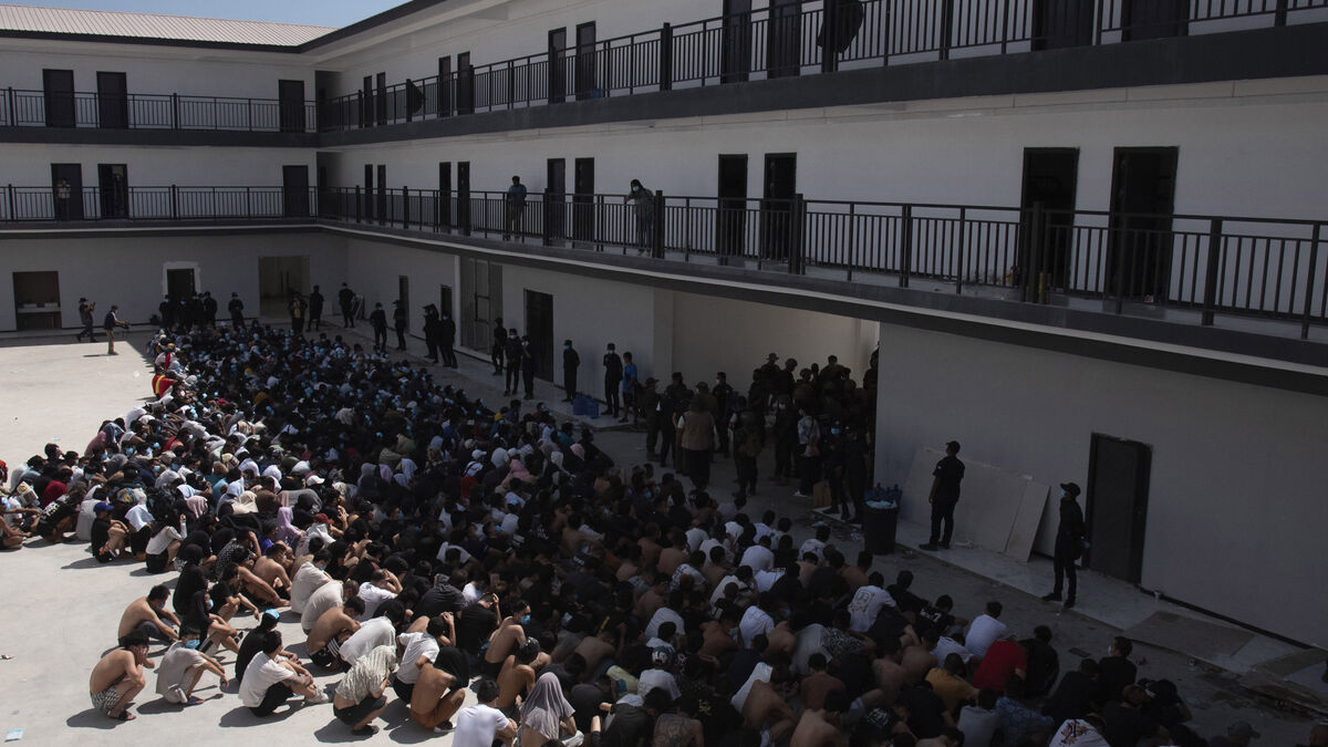 Crackdown on "fraud factories": 1,600