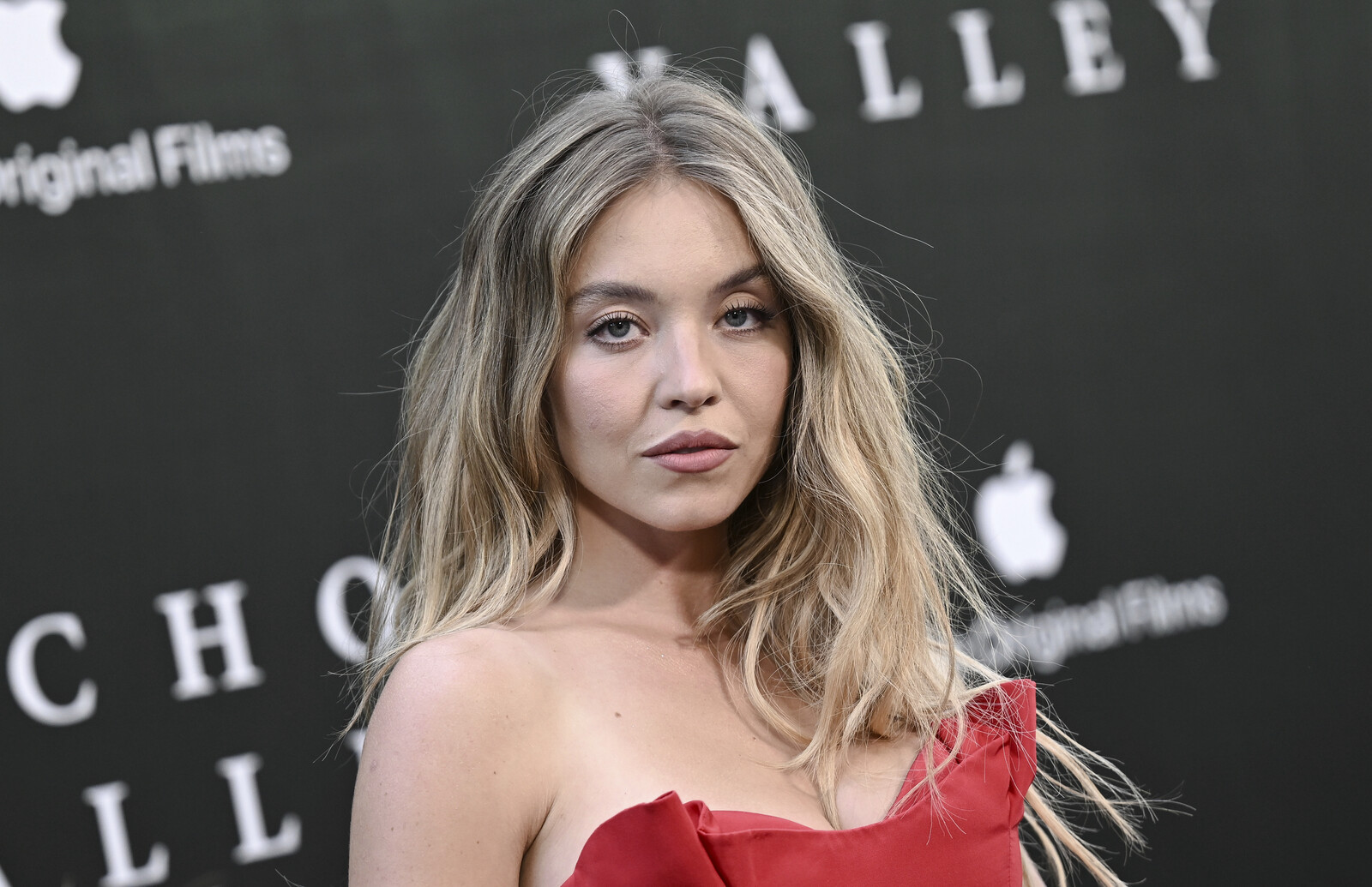 Sydney Sweeney Campaign Boosts American Eagle Outfitters Stock