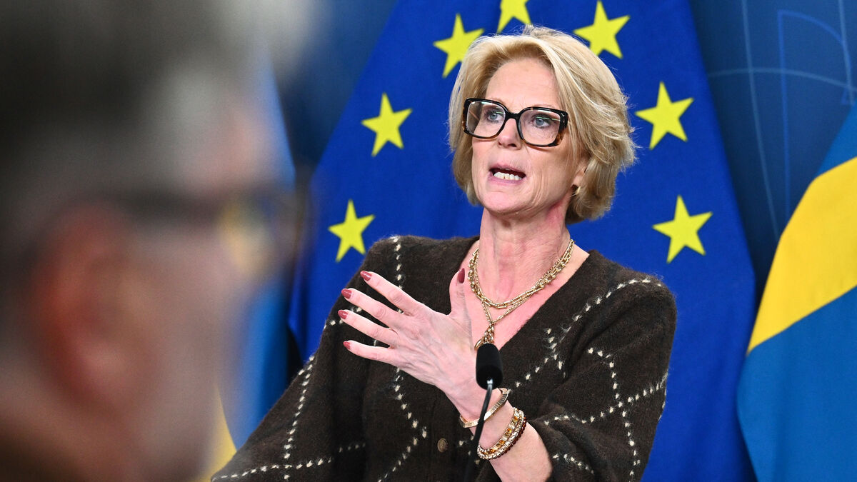 Sweden’s transitional budget excludes election