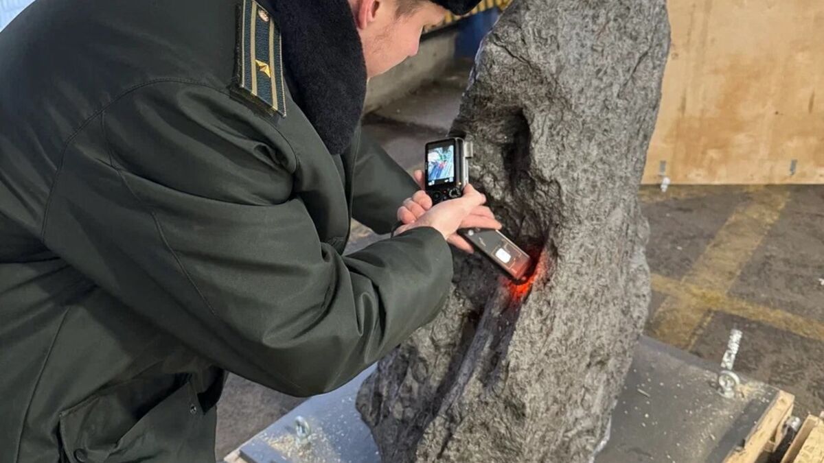 Attempt to smuggle 4.5 billion-year-old