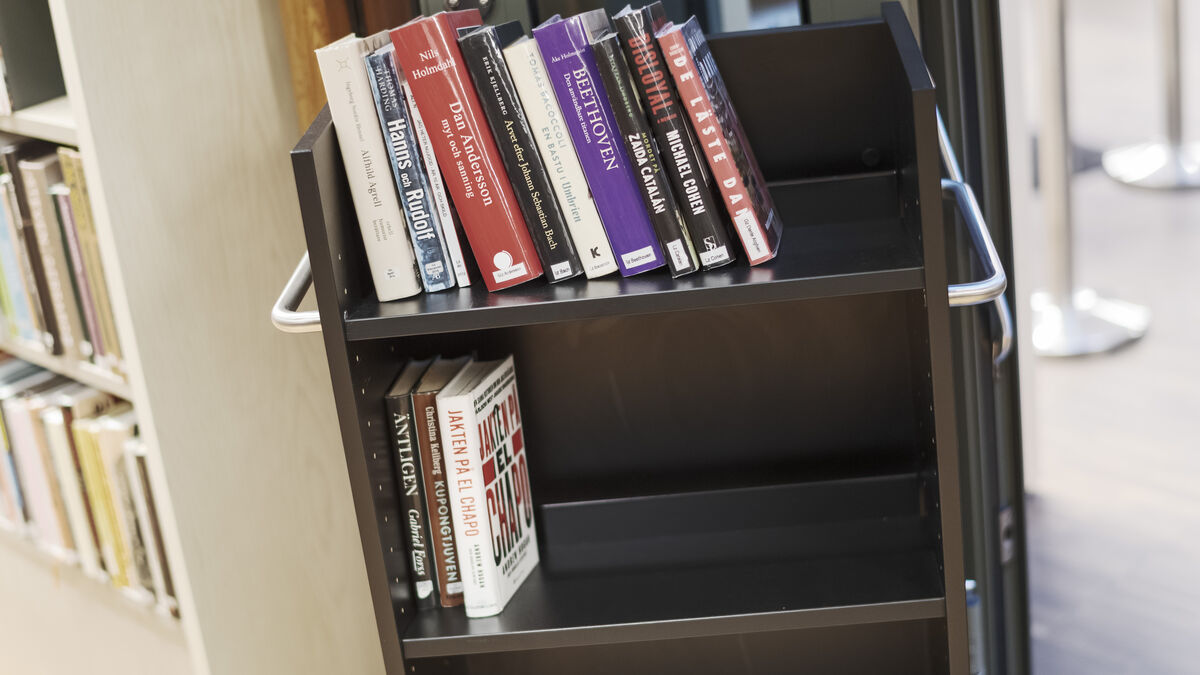 Library Book Returned 50 Years