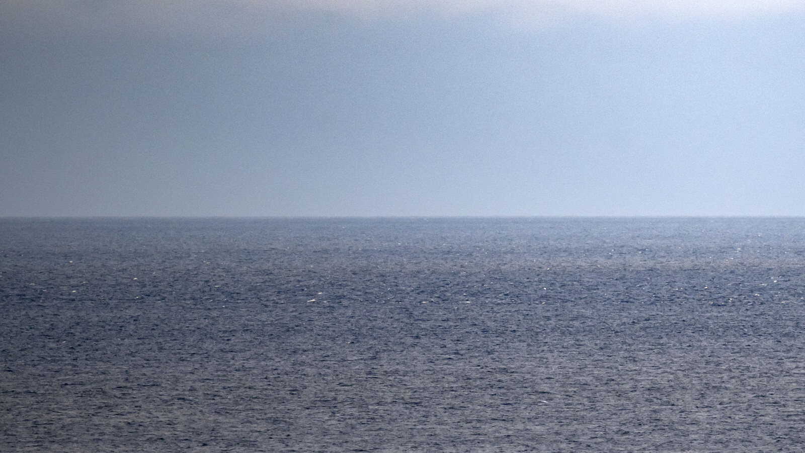 Swedish authorities on board seized