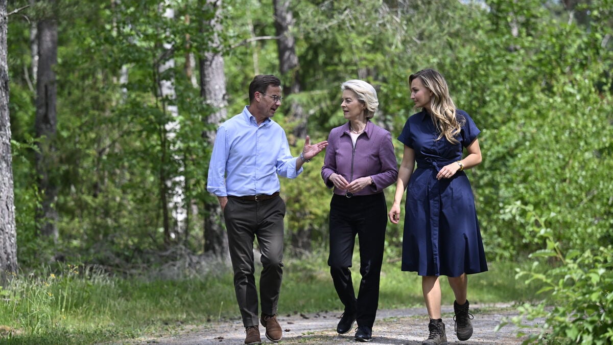 Sweden warns forests could be