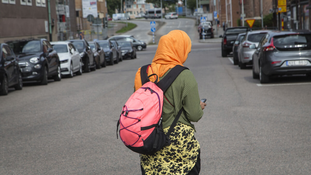 Sweden Democrats call for veil ban in Sweden