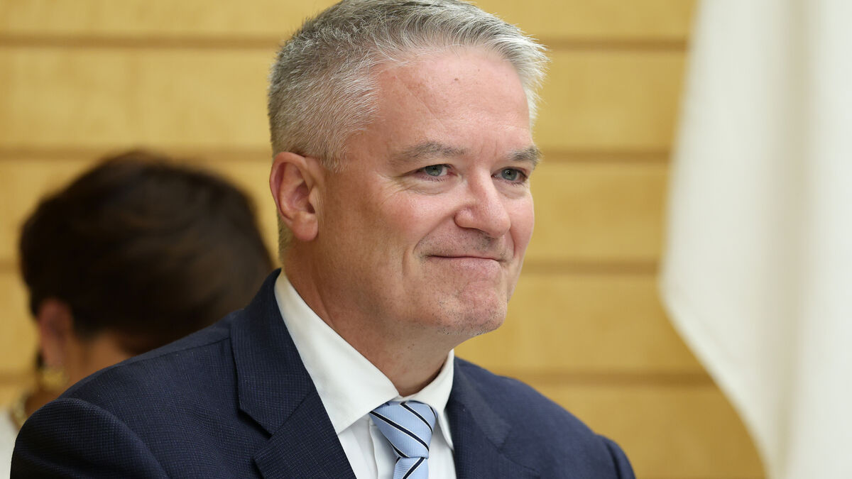 OECD fears global recession, but Sweden is growing
