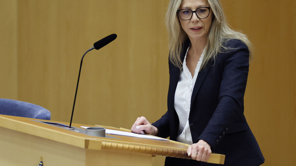 The voice brawl: Sweden Democrats' breach is an extremely strong threat to the 100-year voting system