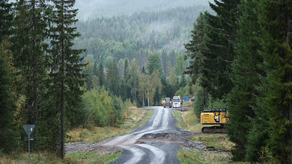 Swedish Accident Investigation Board Criticizes