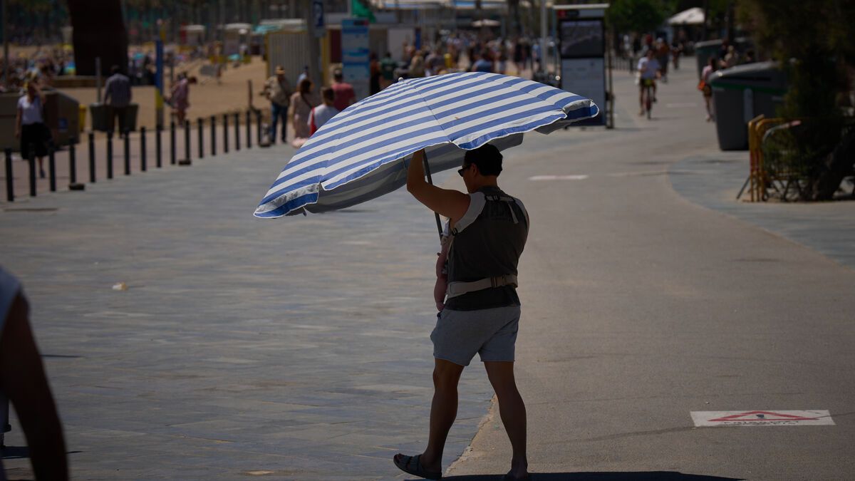 Spain heatwave death toll tops