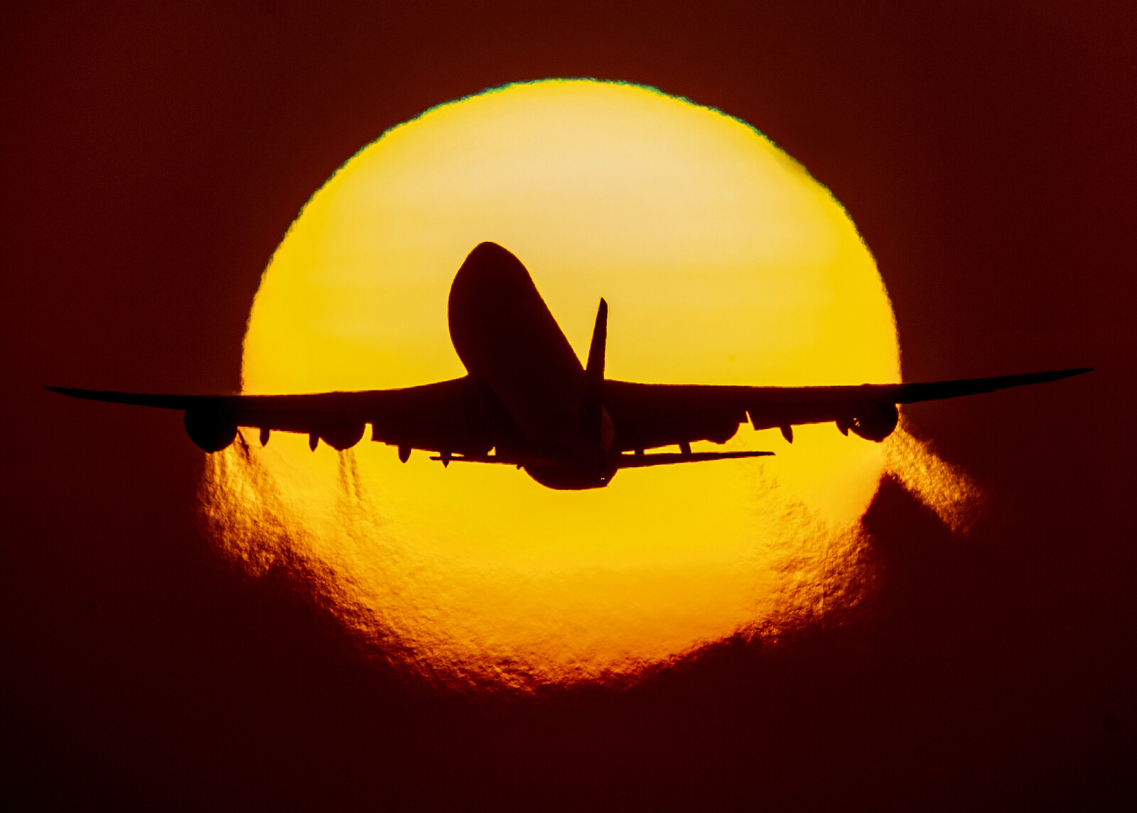 Air Travel Demand Rises in July with More Domestic Flights