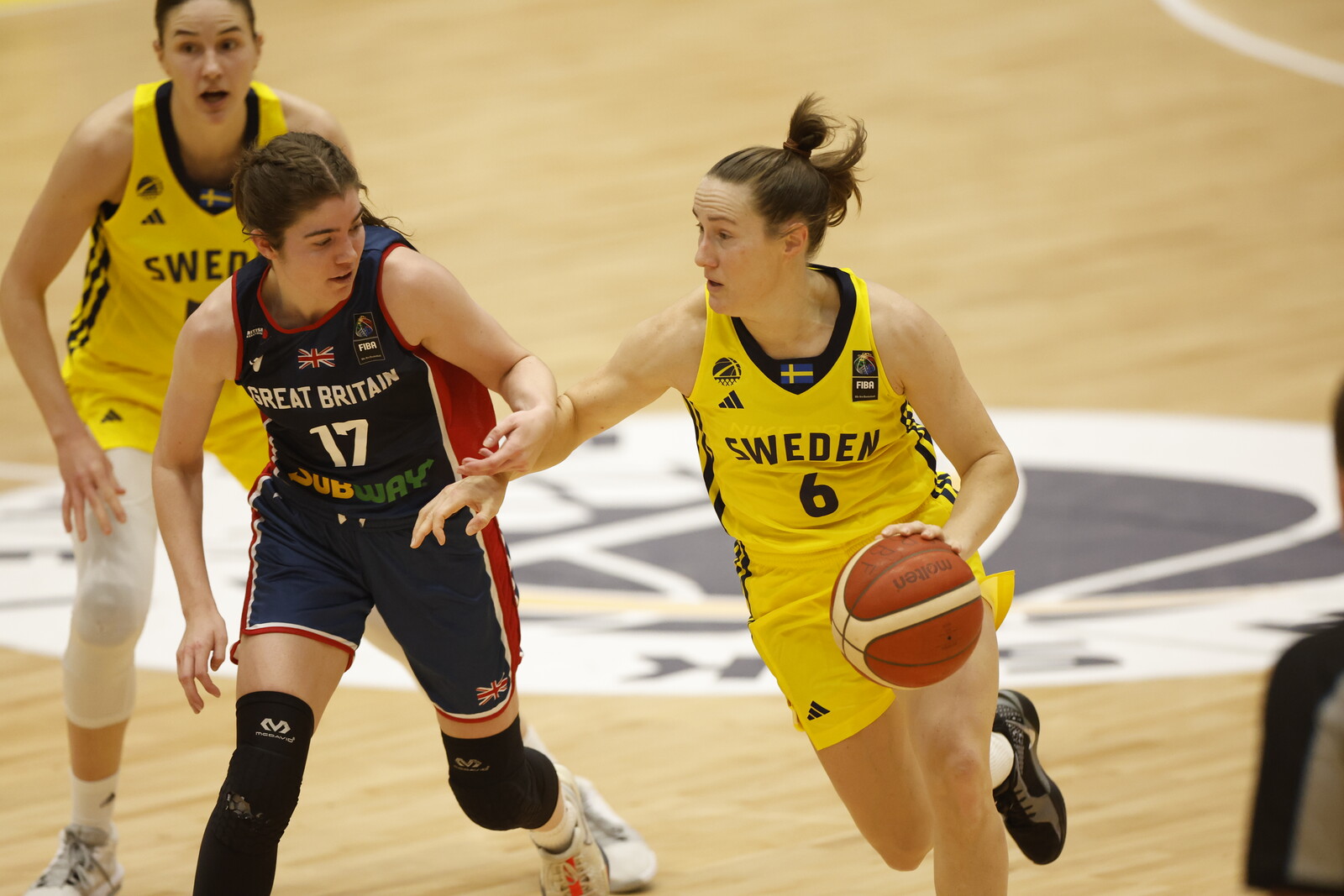 Sweden Falls to Lithuania in