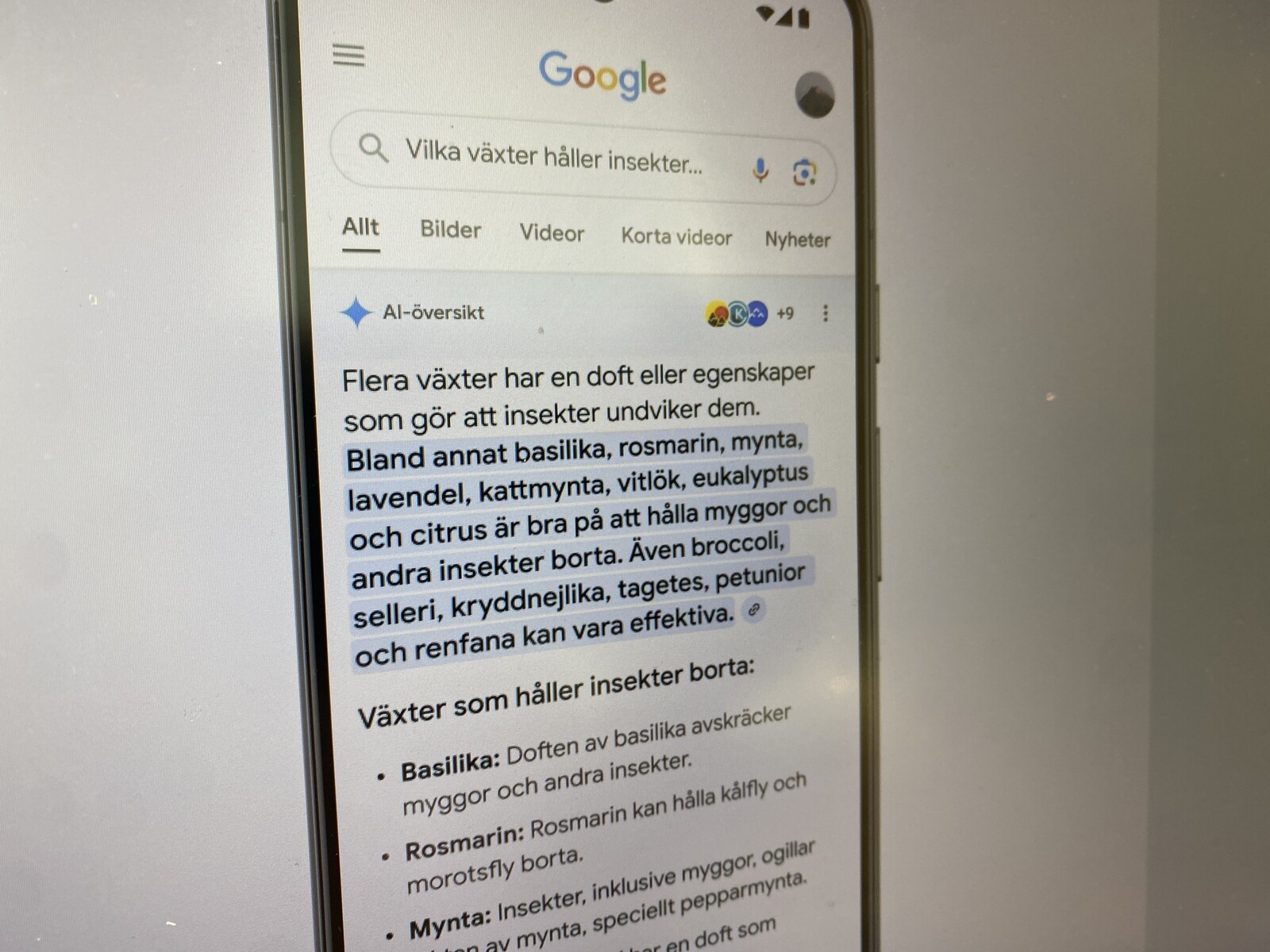 Google Integrates AI for Enhanced Search Results