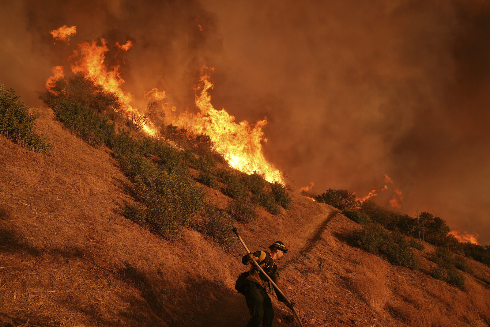 Invasive species exacerbate fires in the USA