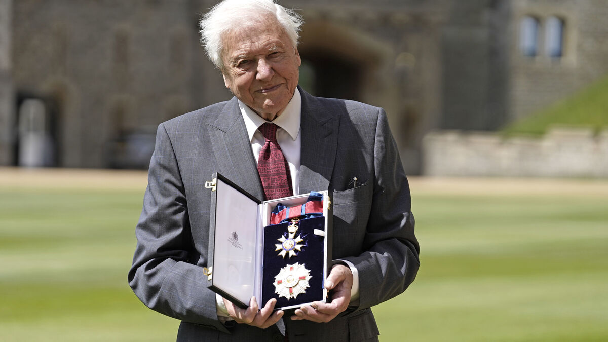 David Attenborough Becomes Oldest Emmy