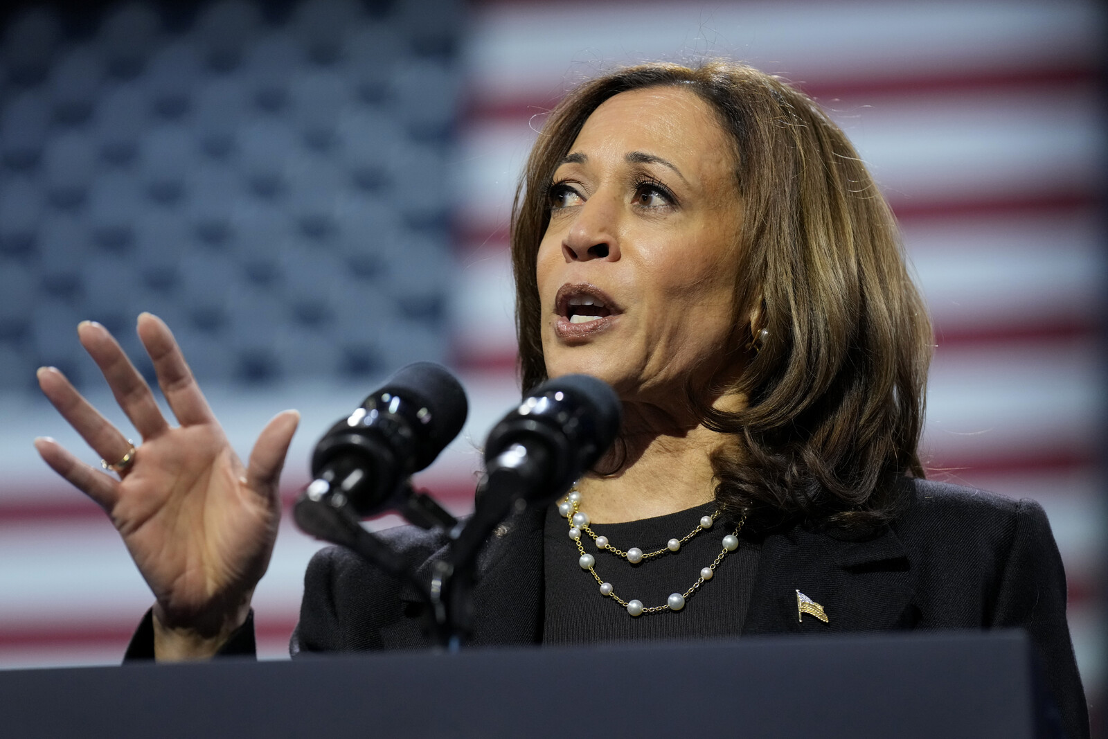 Harris condemns Trump's remarks about "internal enemies"