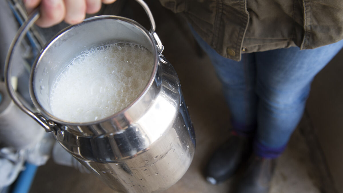 After merger, Arla makes cheese in Russia