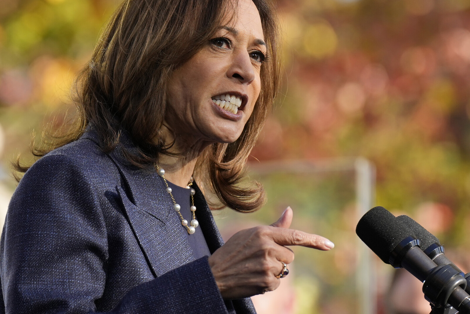 Harris was pressed on immigration in Fox interview
