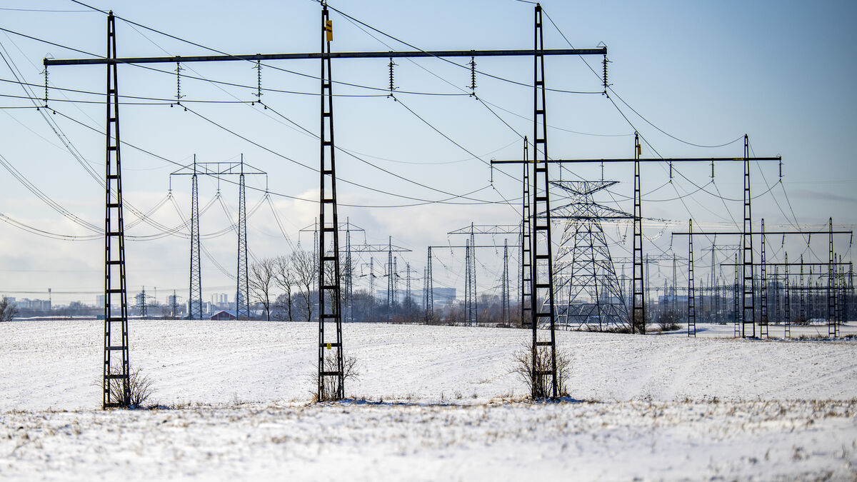 Expert: High Swedish electricity prices saved the electricity system