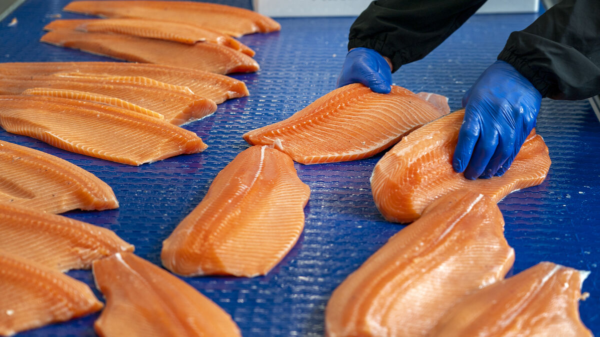 Fish, oil and gas boost
