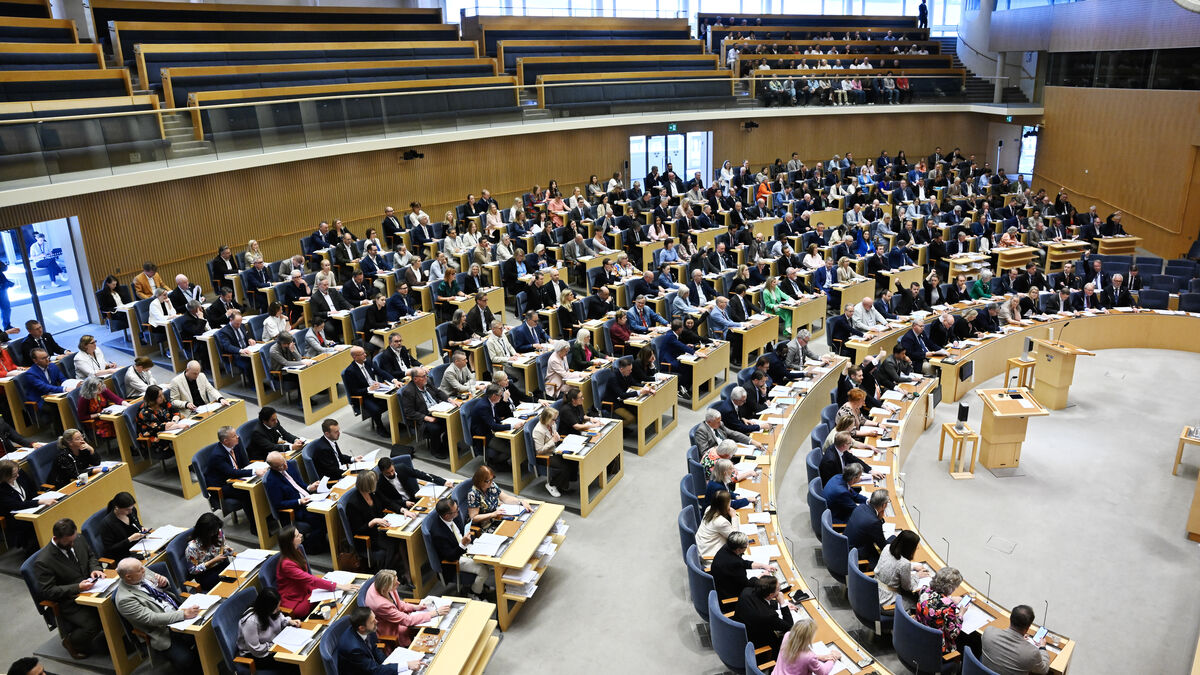 Swedish citizenship should be revocable for dual citizens who seriously harm Sweden's vital interests, Riksdag says