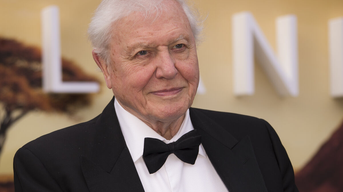 David Attenborough 100 years old