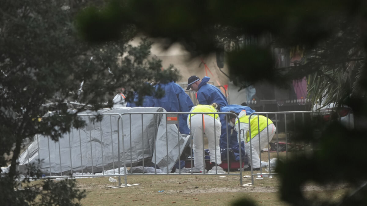 Here are the suspected Sydney shooters