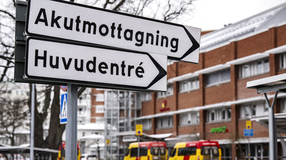 Three suspected knife injuries in