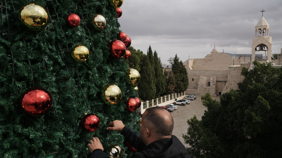 The Christmas tree is decorated
