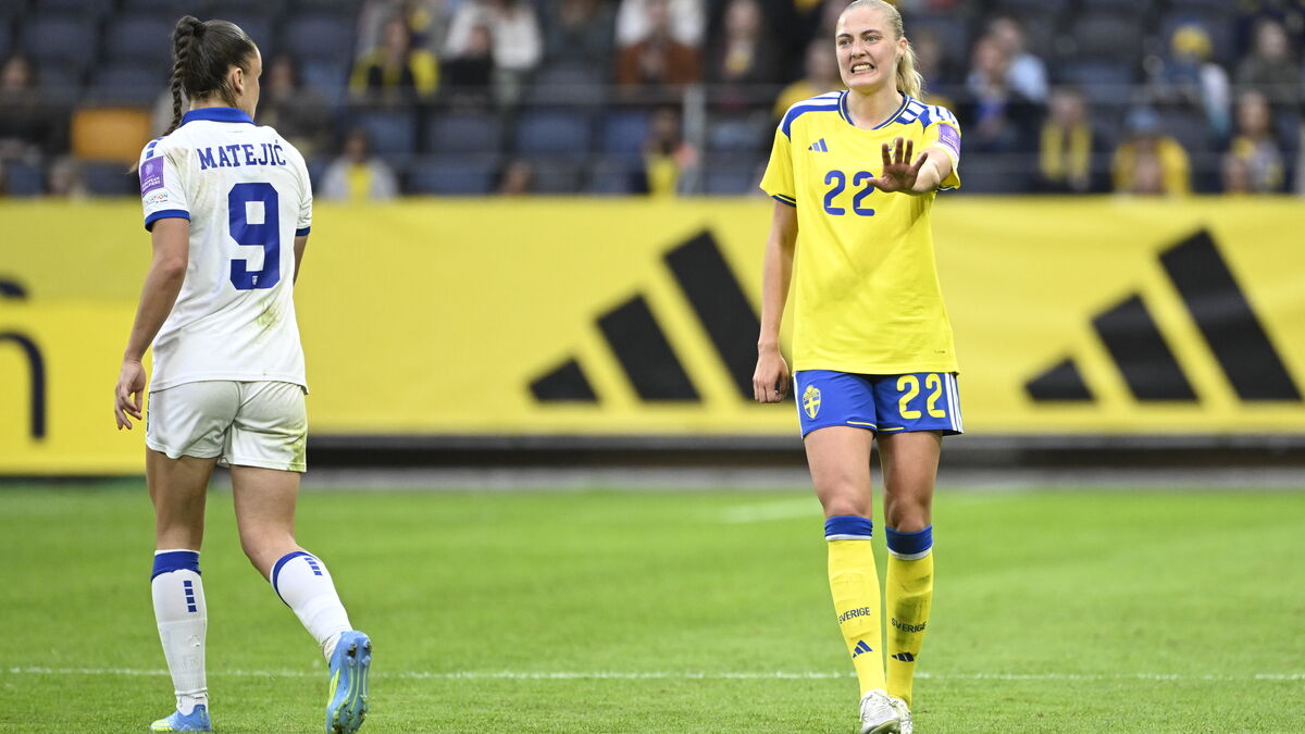 New Swedish cloud of worry