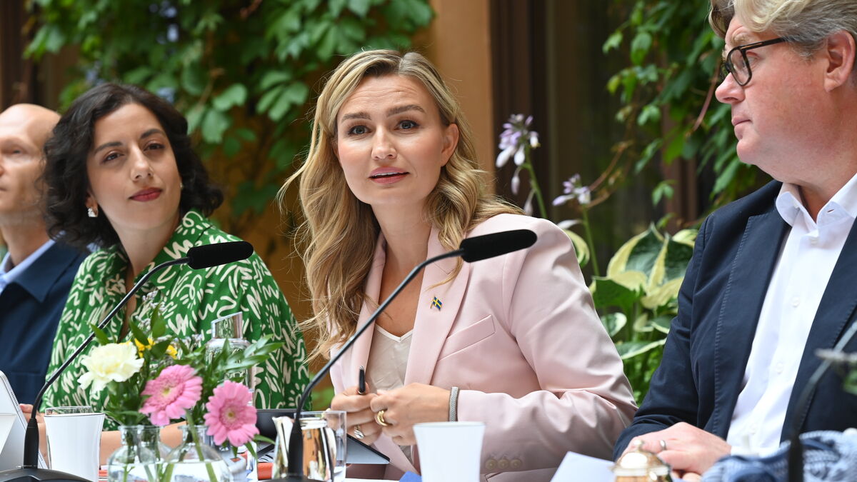 Sweden to investigate electricity network fees, possible price cap on the table