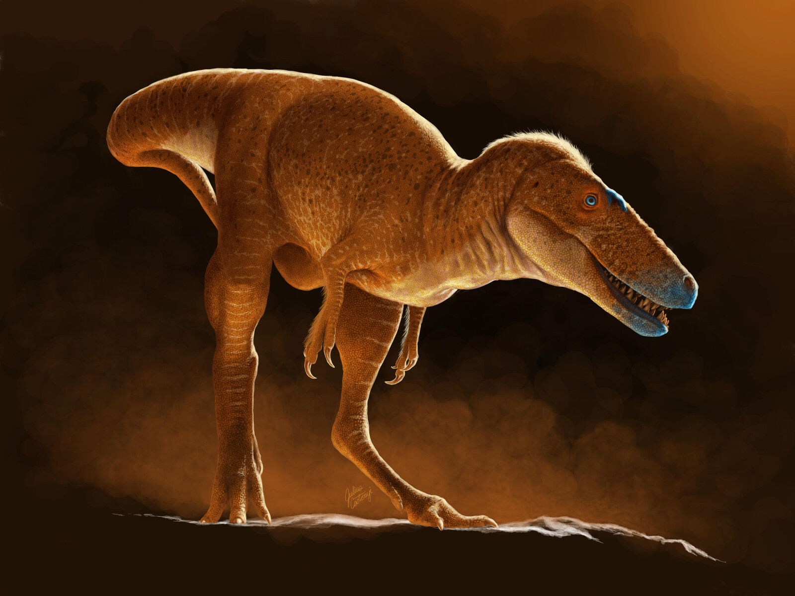 Newly Found Dinosaur Species Sheds