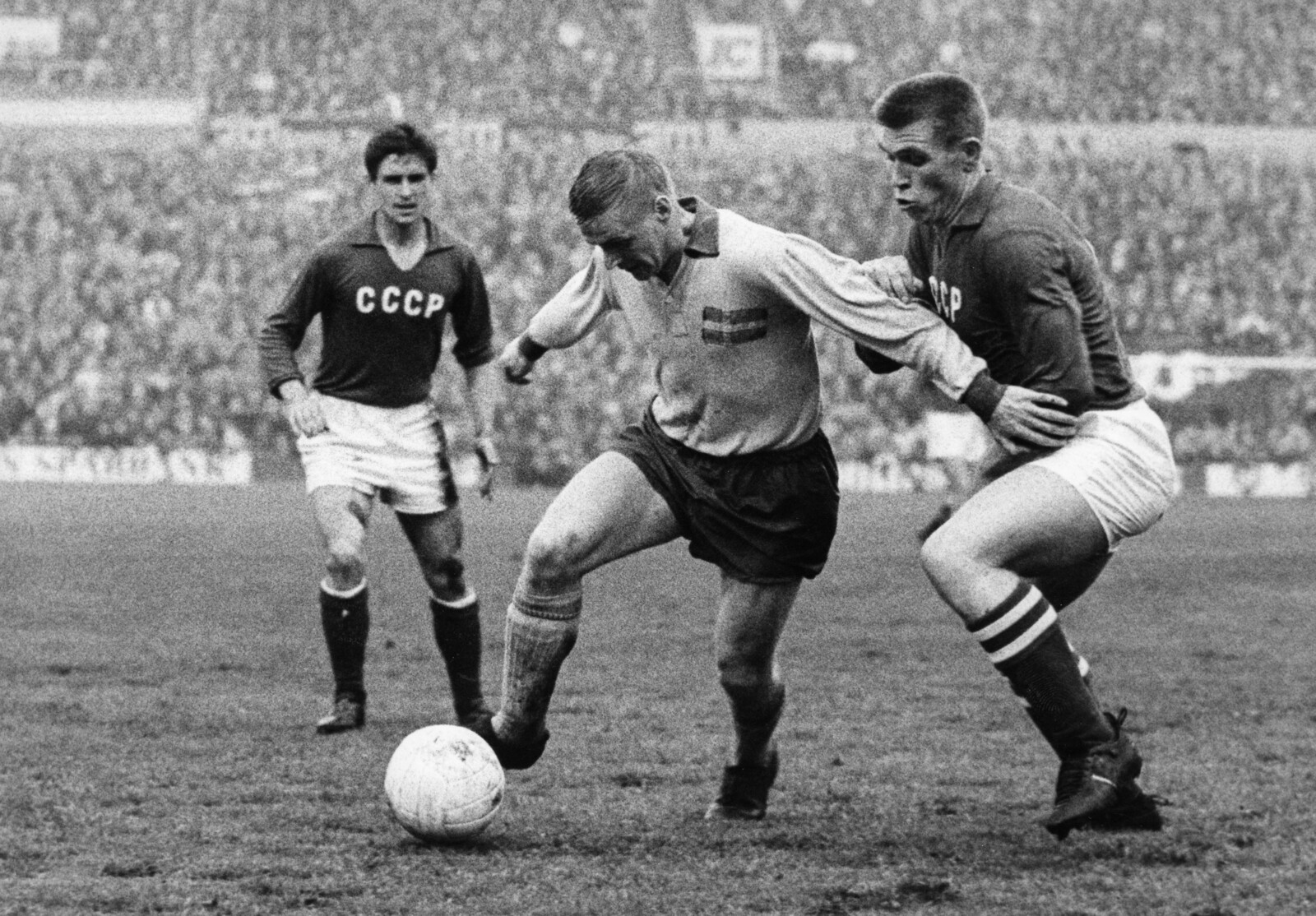 Golden Ball Winner Dead: "Fantastic