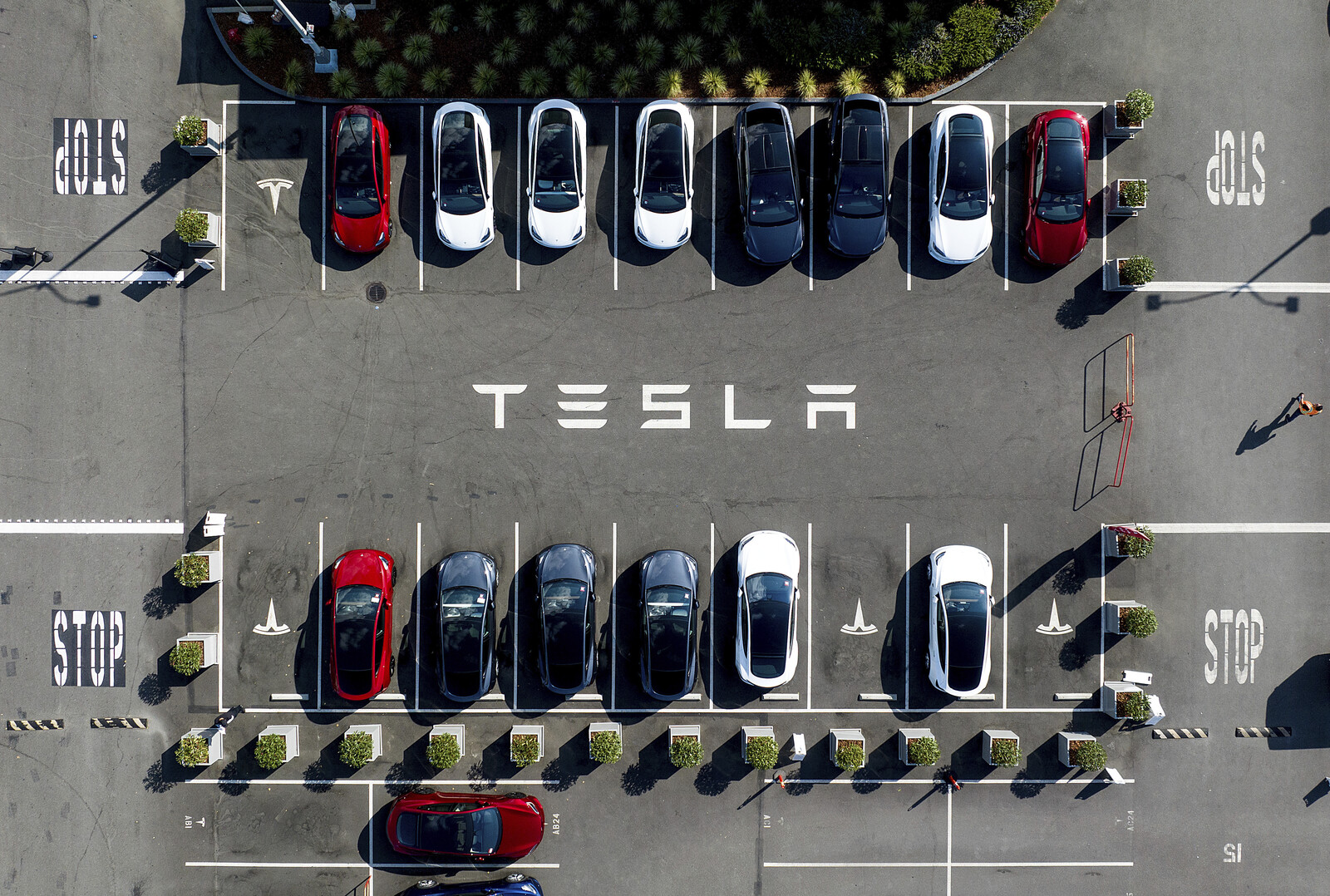 Self-driving taxi to lift Tesla