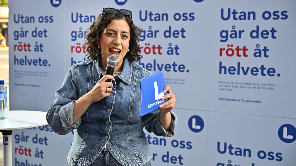 Mohamsson appeals for support as Liberals fight to survive in Riksdag fight