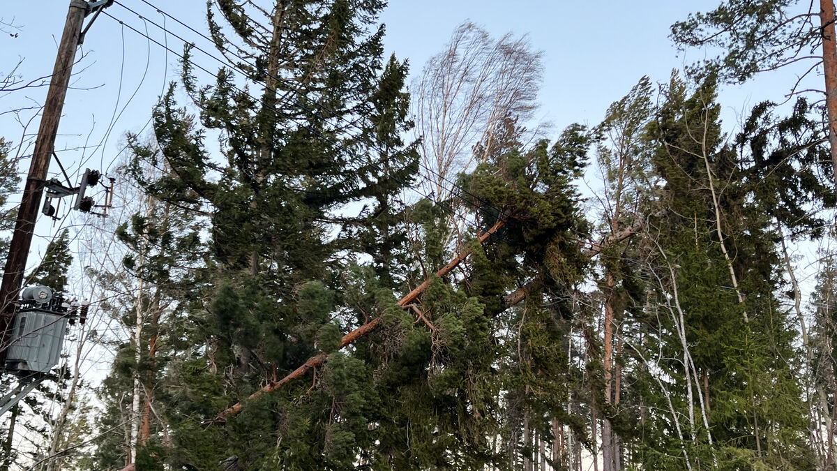 Thousands without power after Storm Johannes as Ellevio says it's a battlefield